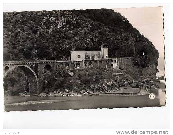 cpsm DJIDJELLI corniche de bougie - pont et gardien de la grotte merveilleuse - 10 ed sirecky