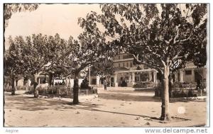 ALGERIE- ref no 574- djidjelli - la place clemenceau - bon etat
