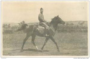 ALGERIE  MASCARA champ de course 1947 cheval   hafid   photo format cp     2 scans