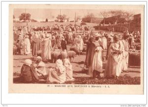 C P S M -noir et blanc-ALGERIE-MASCARA-mar ché aux moutons   2 scans