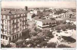 MASCARA (ALGERIE) Vue Générale    CPSM