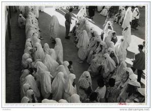 ALGERIE  MASCARA  SEPTEMBRE 1958  -  BAB ALI  L ECOLE DES FILLES  EN ATTENDANT DE POUVOIR VOTER   PHOTO