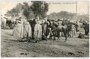 ALGERIE(MASCARA) MARCHE AUX CHEVAUX