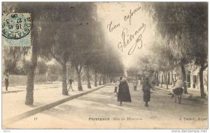 ALGERIE  - PERREGAUX - RUE DE MASCARA - EDITEUR GEISER N°11