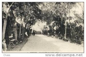 cpa-Algerie-Mascara-grand e  allée du jardin public