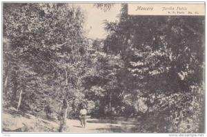 algerie mascara  circulee      le jardin public