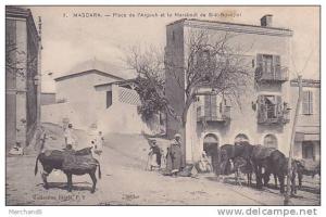ALGERIE.MASCARA.PLACE DE L ARGOUB ET LE MARABOUT DE SIDI BOUDJLEL