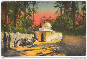 CPA ALGÉRIE - ORAN - MASCARA - Marabout dans l´Oasis ( jolie carte colorisée)