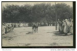 ALGERIE MASCARA  /  Exposition de chevaux pour la remonte