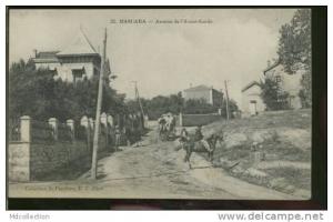 ALGERIE MASCARA  /  Avenue de l'avant garde