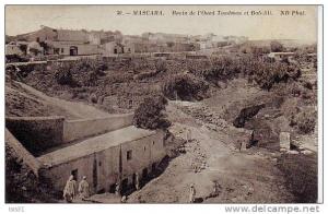 Algérie - Z829 - Mascara - Ravin de l'oued Toudman et Bab-Ali - état