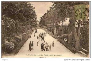 ALGERIE -ref no 257- mascara - jardin public - allee principale     - bon etat