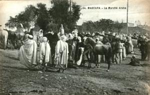 Algerie.Mascara.Le marché arabe ( chevaux ).