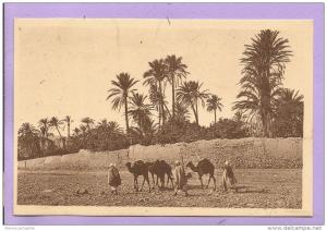 Algérie - BOU-SAADA - Caravanes dans l'Oued