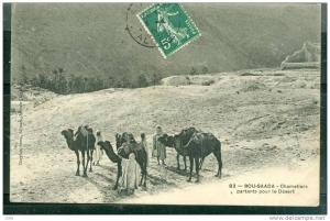 bou saada chameliers partants pour le desert      bcl46