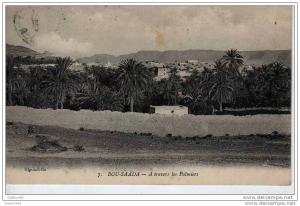 Carte Bou Saada A travers les palmiers