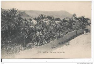 ALGERIE - BOU SAADA - Un coin de l'Oasis