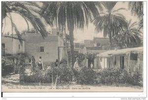 ALGERIE - BOU SAADA - Dans les jaridns