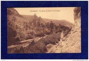 ALGERIE / ALGERIEN    Bou Saada  Un apercu de l'Oued du Kerdala