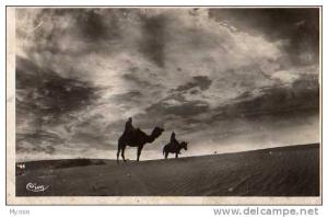 BOU SAADA Cite du Bonheur Les avants coureurs de l'orage, cavaliers, dromadaires