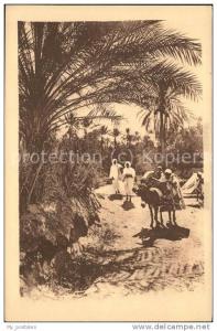 dg21243 Bou Saada Chemin dans l Oasis Kat. Algerien