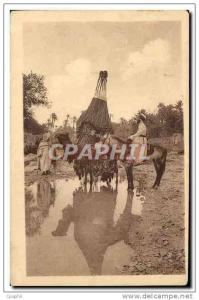 CPA Bou Saada Bassoud a la Riviere Chameau Cheval