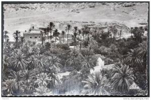 CPSM circulée 1953 Bou Saada, la palmeraie et le tombeau du peintre Dinet