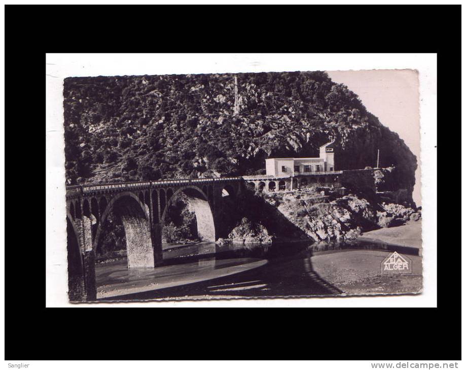 DJIDJELLI N° 15 - ETABLISSEMENT DE LE GROTTE MERVEILLEUSE