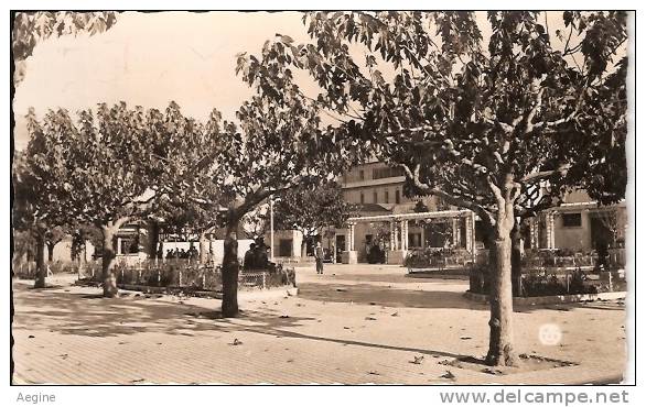 ALGERIE- ref no 574- djidjelli - la place clemenceau - bon etat