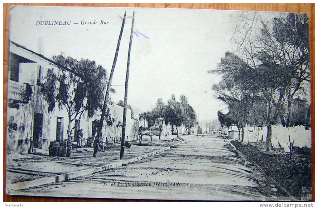 cpa ALGERIE - HACINE MASCARA - DUBLINEAU, Grande Rue