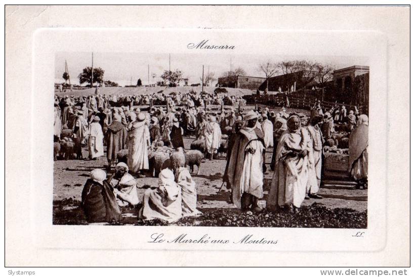 CPA ALGERIE MASCARA N°37 LE MARCHE AUX MOUTONS