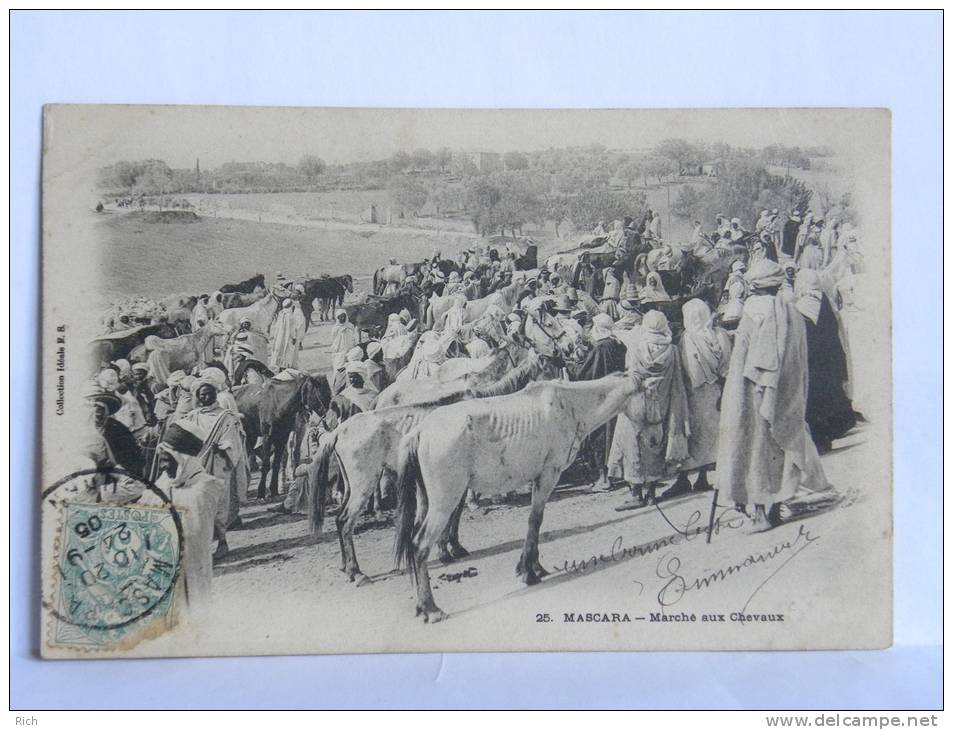 CPA  ALGERIE - 25 MASCARA - Marché aux Chevaux