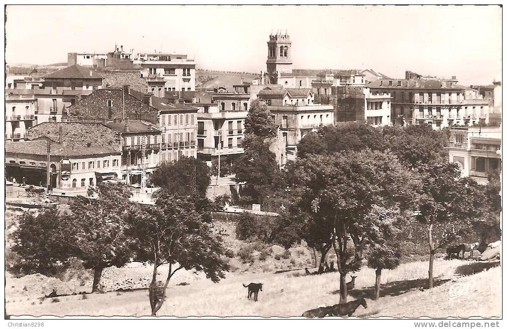 MASCARA (ALGERIE) Vue Générale    CPSM