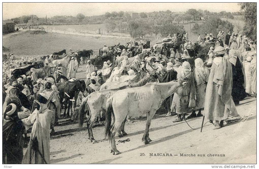ALGERIE(MASCARA) MARCHE AUX CHEVAUX