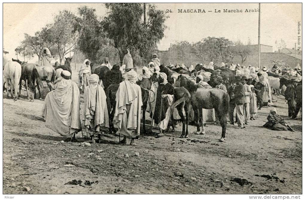 ALGERIE(MASCARA) MARCHE AUX CHEVAUX