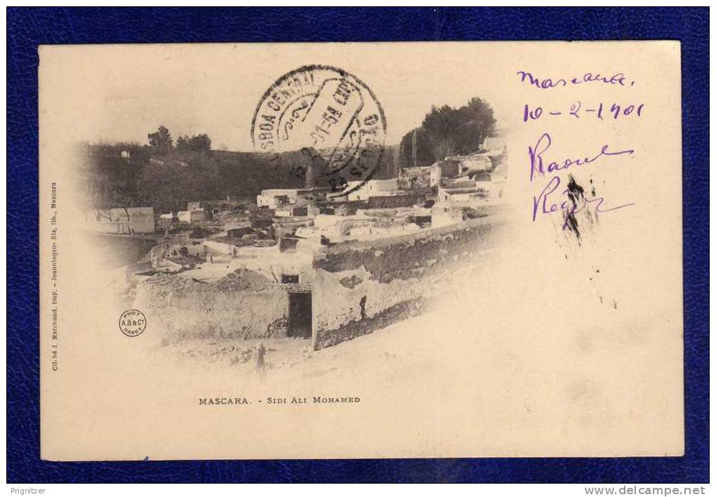 ALGERIE / ALGERIEN   Mascara     -   Sidi Ali Mohamed     CPA