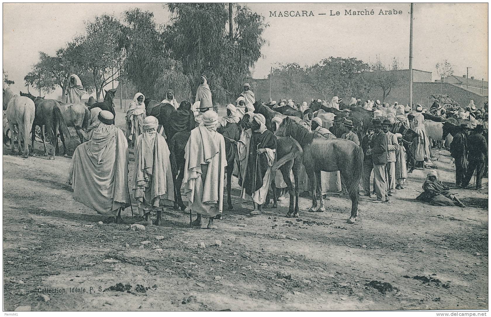 ALGERIE - MASCARA - Le Marché arabe