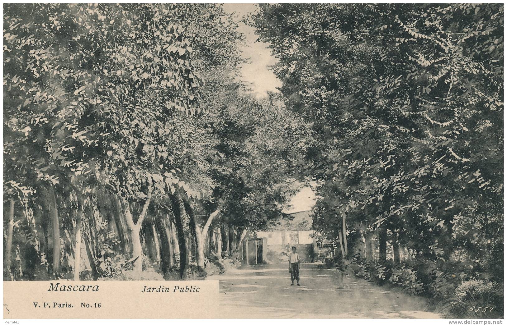 ALGERIE - MASCARA - Jardin Public