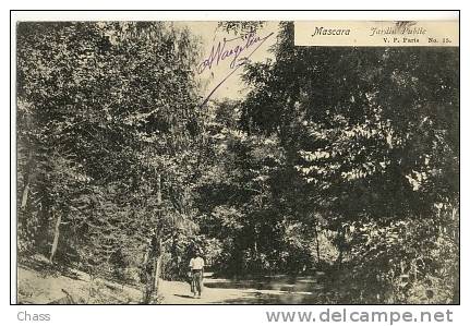 cpa-Algerie-Mascara-jardi n  public