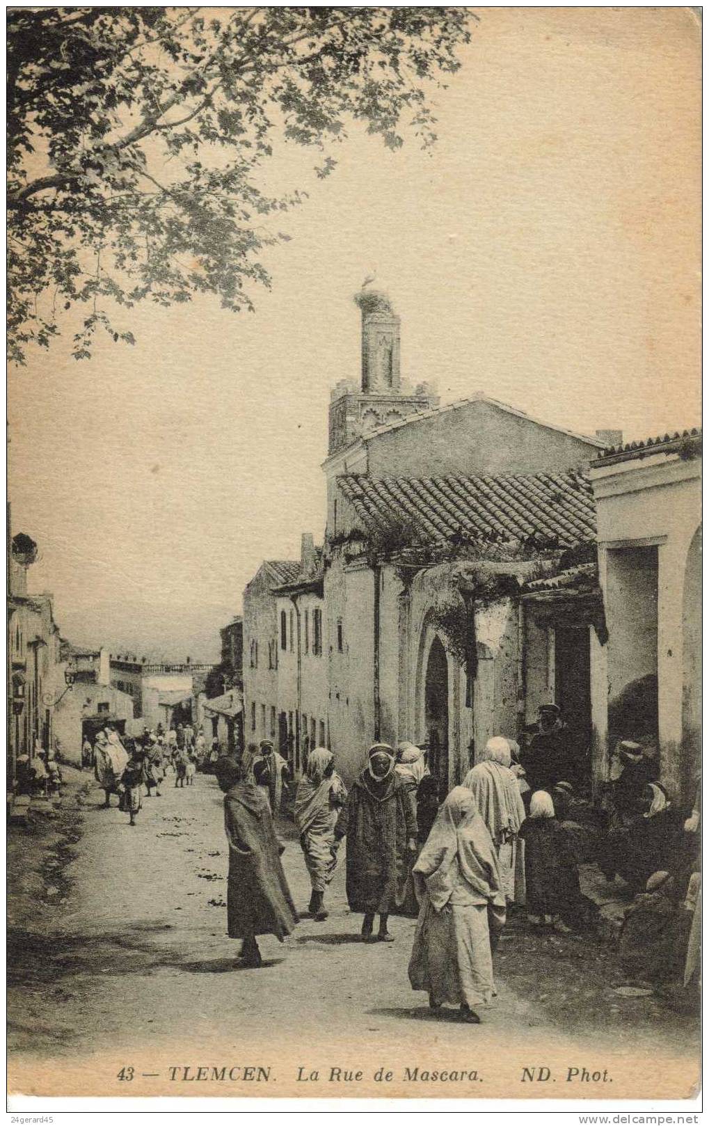 CPA TLEMCEN (Algérie) - La Rue de Mascara