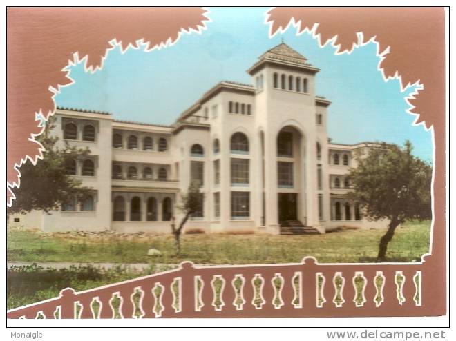 arte postale NEUVE CP ALGERIE  MASCARA INSTITUT ISLAMIQUE