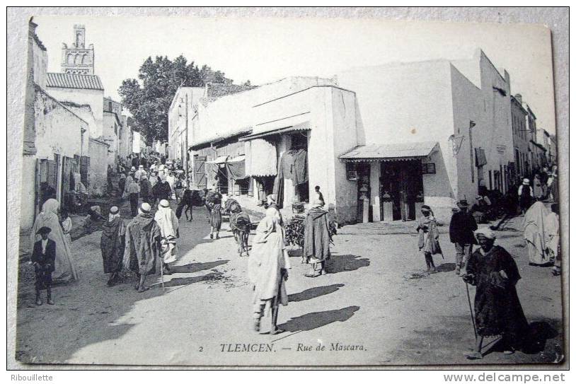 Algérie - CP N°AH390 - Tlemcen Rue de Mascara - CPA/E