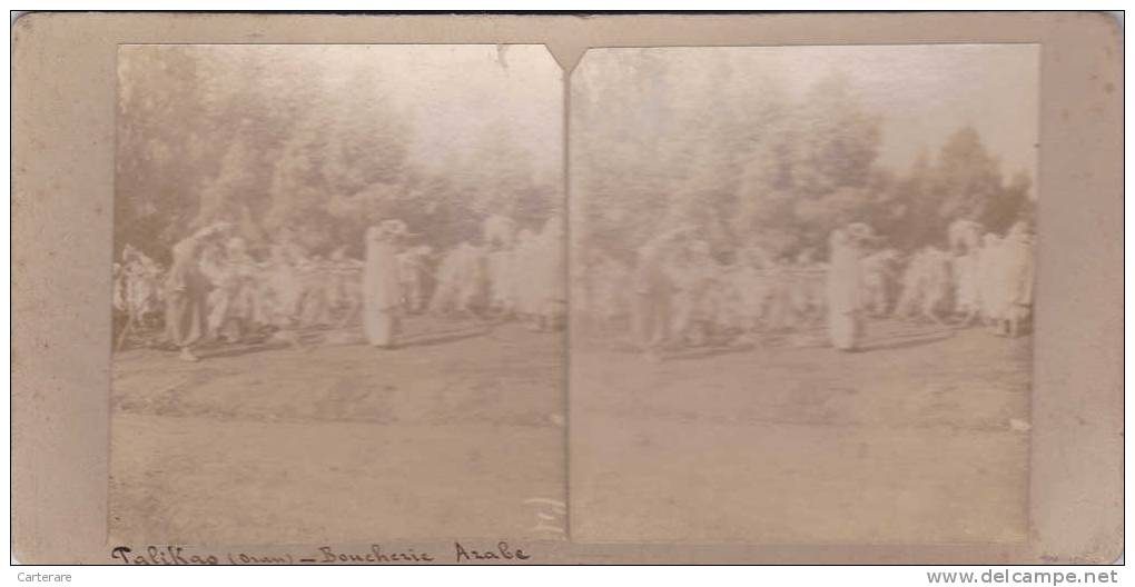 carte photo stéréoscopique unique,algérie française,PALIKAO,boucher ie ,abatoire,région mascara,collection jb PRION,rare