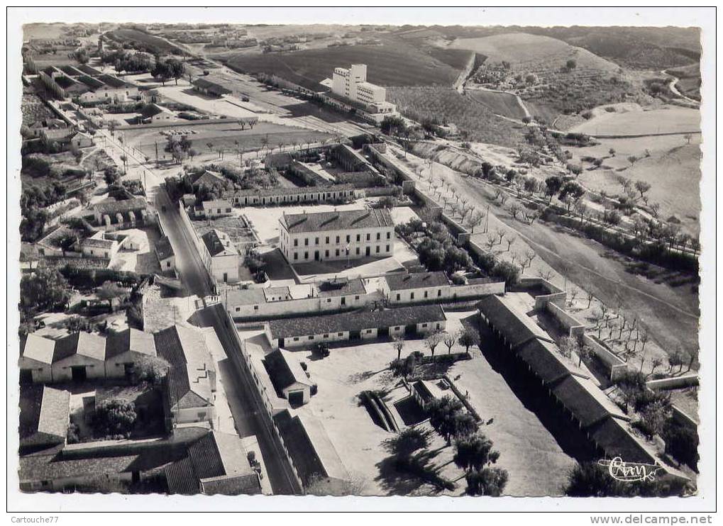 H147 - ALGERIE - MASCARA - sur le quartier Sylvestre - Dans le fond les moulins coopératifs