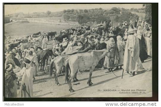 ALGERIE MASCARA  /  Marché aux chevaux