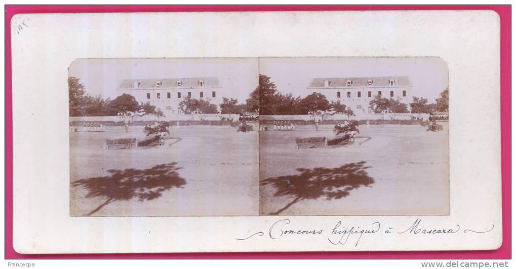 ALGERIE- 038 - Concours Hippique à MASCARA