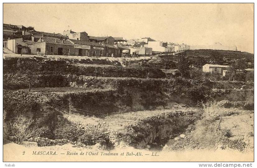 NK-DV 0031-Algérie-Mascara-Ravi n de l'Oued Toudman et Bab-Ali-L.L.