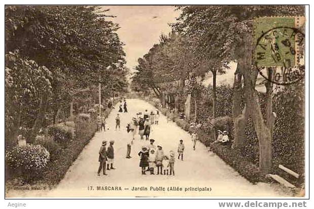 ALGERIE -ref no 257- mascara - jardin public - allee principale     - bon etat