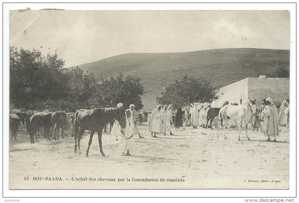BOU SAADA - L'ACHAT DES CHEVAUX PAR LA COMMISSION DE REMONTE 1913 - ALGER