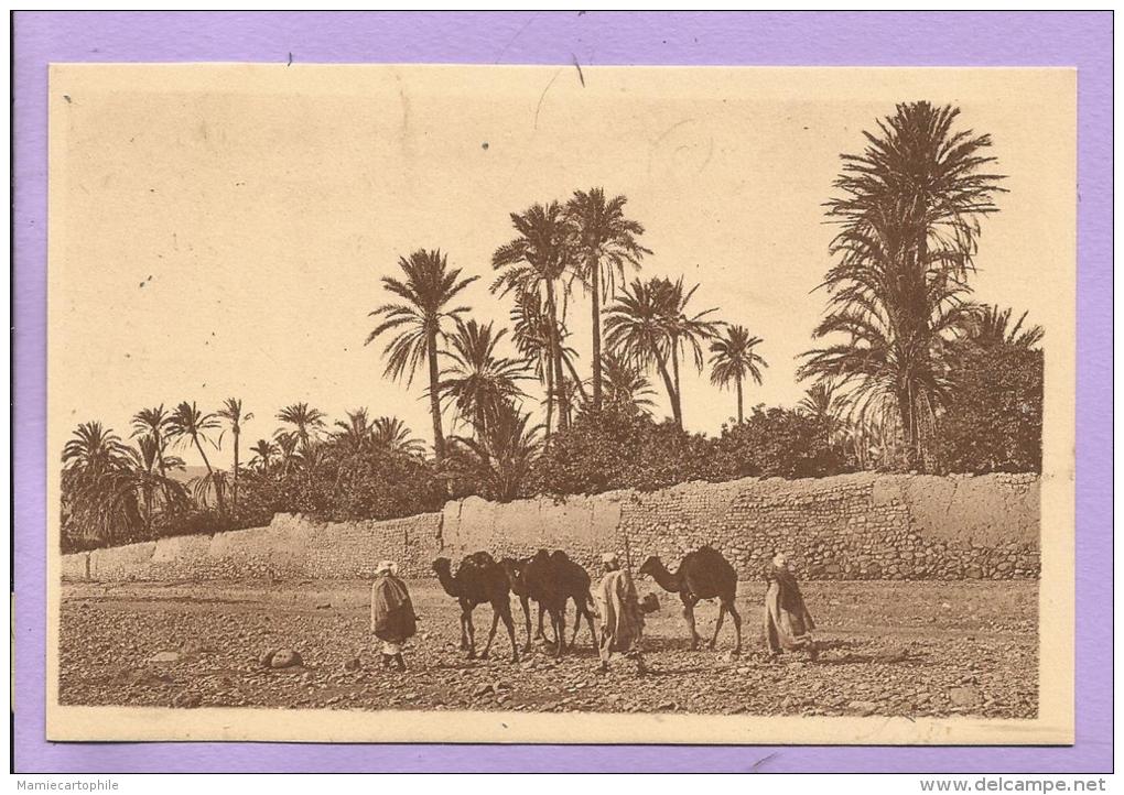 Algérie - BOU-SAADA - Caravanes dans l'Oued